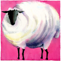 Watercolor sheep