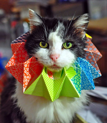 A Perfect Origami Fashion Accessory post image