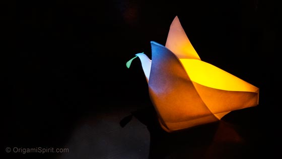 origami-peacedove-lantern-
