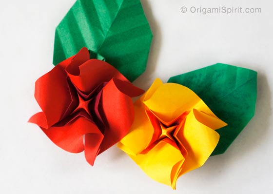 Origami-rosa-variación-560