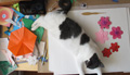 Fun and Inspiration from My Creative Origami Table thumbnail