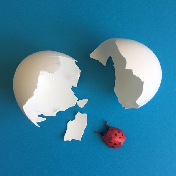 Stay Calm and Make an Origami Ladybug -Free Video Tutorial post image
