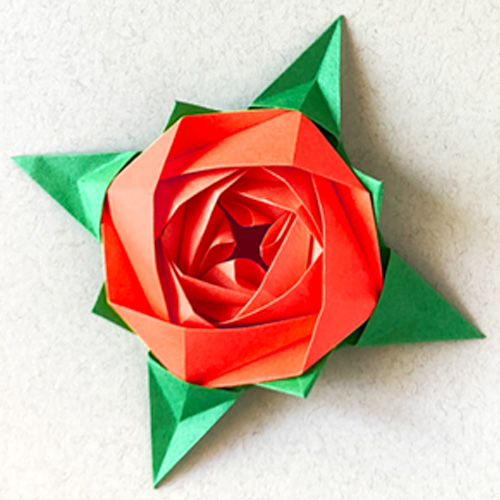 Origami paper rose in a star