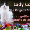 Lady Coco Cat