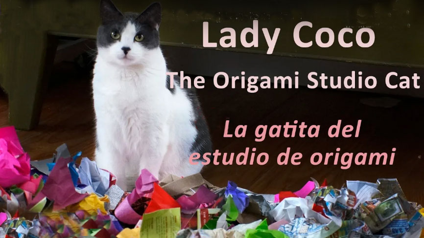 Lady Coco Cat